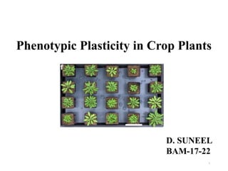 Phenotypic Plasticity in Crop Plants
1
D. SUNEEL
BAM-17-22
 