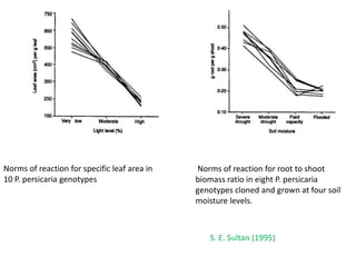 PHENOTYPIC PLASTICITY IN CROP PLANTS | PPTX