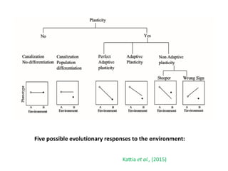 PHENOTYPIC PLASTICITY IN CROP PLANTS | PPTX