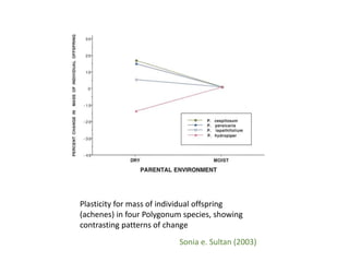 PHENOTYPIC PLASTICITY IN CROP PLANTS | PPTX