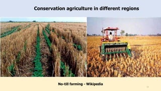 Conservation agriculture in different regions
No-till farming - Wikipedia
11
 