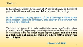 In Central Asia, a faster development of CA can be observed in the last 10
years in Kazakhstan which now has 10.5 m ha under reduced tillage.
In the rice–wheat cropping systems of the Indo-Gangetic Plains across
India, Pakistan, Nepal and Bangladesh, large adoption of no-till wheat with
some 5 m ha is reported.
The exception appears to be India and Pakistan, where significant adoption
(1.5 and 0.6 m ha, respectively) of no-till practices by farmers has occurred
in recent years in the rice–wheat double cropping system, and also in the
rain-fed crops such as maize, sorghum, millets, cotton, pigeon pea
and chickpea.
17
Cont…
(Kassam et al., 2018)
 