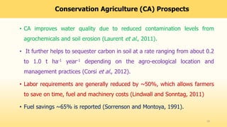Conservation Agriculture (CA) Prospects
• CA improves water quality due to reduced contamination levels from
agrochemicals and soil erosion (Laurent et al., 2011).
• It further helps to sequester carbon in soil at a rate ranging from about 0.2
to 1.0 t ha-1 year-1 depending on the agro-ecological location and
management practices (Corsi et al., 2012).
• Labor requirements are generally reduced by ~50%, which allows farmers
to save on time, fuel and machinery costs (Lindwall and Sonntag, 2011)
• Fuel savings ~65% is reported (Sorrenson and Montoya, 1991).
19
 