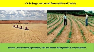 CA in large and small farms (US and India)
Source: Conservation Agriculture, Soil and Water Management & Crop Nutrition
21
 