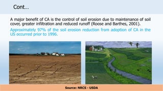 Cont…
A major benefit of CA is the control of soil erosion due to maintenance of soil
cover, greater infiltration and reduced runoff (Roose and Barthes, 2001).
Approximately 97% of the soil erosion reduction from adoption of CA in the
US occurred prior to 1996.
24
Source: NRCS - USDA
 