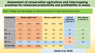 Assessment of conservation agriculture and intercropping
practices for enhanced productivity and profitability in maize
27
(Sepat et al, 2018)
Effect of tillage and intercropping on yield and economics of maize during 2010 to 2012
Treatment Grain yield t ha-1 Stover yield t ha-1 Cost of
cultivation
(×103 ha-1)
Net returns
(×103 ha-1)
2010 2011 2012 2010 2011 2012
CT 4.9 4.8 4.7 5.8 5.8 5.9 25 41
CT+ R 5.0 5.2 4.9 6.0 6.1 6.1 28 41
ZT 4.2 4.1 4.00 5.3 5.5 5.2 20 36
ZT+ R 5.3 5.3 5.5 6.2 6.3 6.5 23 49
CD (p=0.05) 0.43 0.62 0.58 0.6 0.7 0.67
 