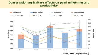 Conservation agriculture effects on pearl millet-mustard
productivity
0
200
400
600
800
1000
1200
1400
1600
1.50
1.70
1.90
2.10
2.30
2.50
2.70
2014-15 2015-16 2016-17 2017-18 2018-19
Rainfall
(mm)
Yield
(t/ha)
Rabi Rainfall Kharif rainfall Pearlmillet CT Pearlmillet ZT
Pearlmillet ZTR Mustard CT Mustard ZT Mustard ZTR
Bana, 2019 (unpublished)
 