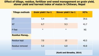 Effect of tillage, residue, fertilizer and weed management on grain yield,
stover yield and harvest index of maize in Chitwan, Nepal
38
Tillage methods Grain yield t ha-1 Stover yield t ha-1 HI%
CT 5.4 7.5 39.6
NT 6.7 9.3 41.7
F-Test * * NS
Residue Manag..
Residue kept 7.0 10 40.5
Residue removed 5.0 6.8 40.8
(Karki and Shrestha, 2014)
 