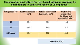Conservation agriculture for rice-based intensive cropping by
smallholders in semi-arid region of (Bangladesh)
40
Tillage methods Fuel Consumption (L
ha-1)
Labour requirement
(person-hr ha-1)
Cost of land
preparation,
fertilizing and
seeding (US $ ha-1)
CT 33.1 48.1 41.5
ZT 16.6 17.3 18.1
Difference 16.5 30.8 23.4
(Bell et al, 2018)
 