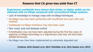 Reasons that CA gives less yield than CT
Experiences worldwide have shown that similar or higher yields can be
obtained with no-tillage compared with conventional tillage systems.
• Lack of knowledge to manage crops with no-tillage techniques.
• No-tillage may have been performed with insufficient soil cover with crop
residues.
• Inadequate no-tillage machinery may have been used.
• Poor weed, pest and diseases control
• N fertilization may not have been adjusted during the first few years of
applying no-tillage technology or a leguminous crop may not have been
seeded previously.
• No-tillage may have been implemented on extremely degraded soil.
(Crabtree, 2010; Derpsch et al., 2012; Thierfelder et al., 2013; Kassam et al., 2013)
42
 