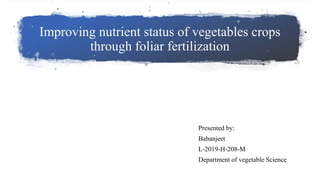 Improving nutrient status of vegetables crops
through foliar fertilization
Presented by:
Babanjeet
L-2019-H-208-M
Department of vegetable Science
 