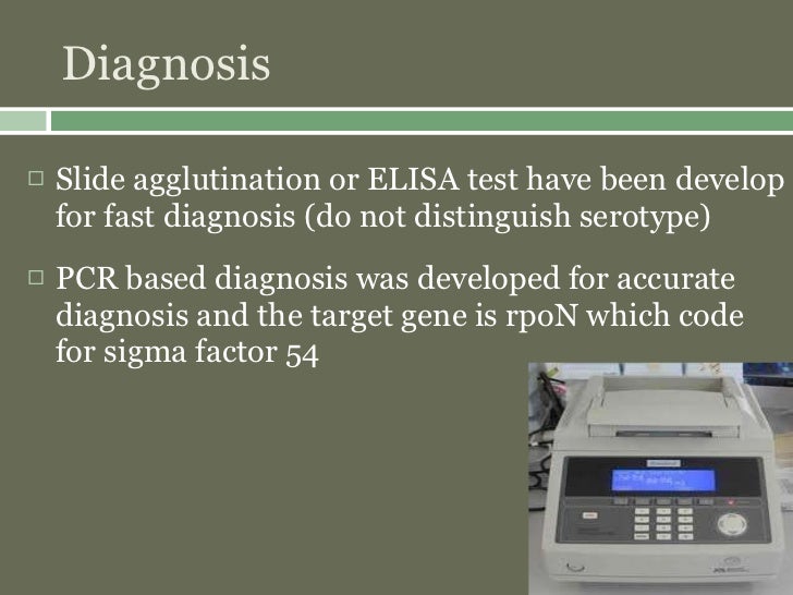 fishborne zoonotic diseases
