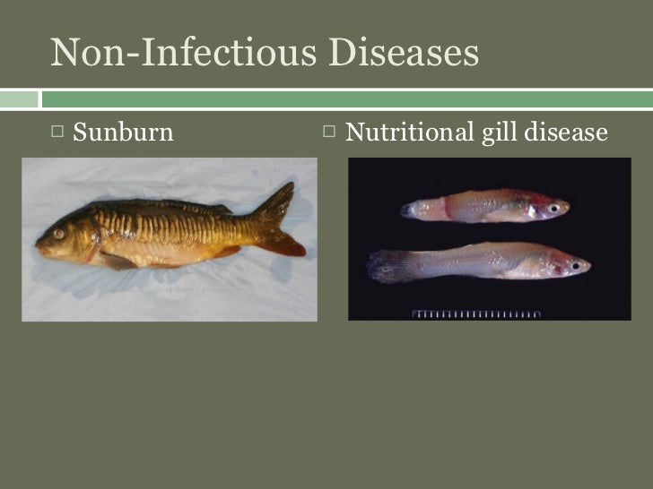 fishborne zoonotic diseases