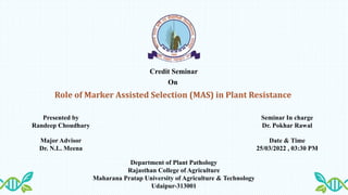 Role of Marker Assisted Selection (MAS) in Plant Resistance
Presented by
Randeep Choudhary
Credit Seminar
On
Seminar In charge
Dr. Pokhar Rawal
Major Advisor
Dr. N.L. Meena
Date & Time
25/03/2022 , 03:30 PM
Department of Plant Pathology
Rajasthan College of Agriculture
Maharana Pratap University of Agriculture & Technology
Udaipur-313001
 