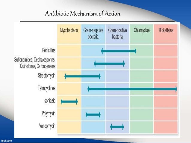 6 mechanisms resistance antibiotic of form of Resistance Antibiotic food origint animal