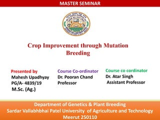 Department of Genetics & Plant Breeding
Sardar Vallabhbhai Patel University of Agriculture and Technology
Meerut 250110
MASTER SEMINAR
Crop Improvement through Mutation
Breeding
Presented by
Mahesh Upadhyay
PG/A- 4839/19
M.Sc. (Ag.)
Course Co-ordinator
Dr. Pooran Chand
Professor
Course co cordinator
Dr. Atar Singh
Assistant Professor
 