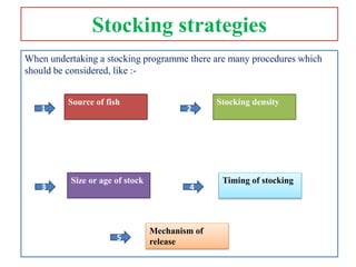 Stocking Strategy Examples stock enhancement strategies | PPTX