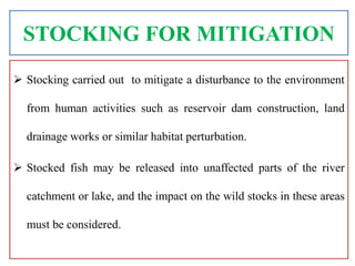 Stocking Strategy Examples stock enhancement strategies | PPTX