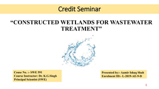 Credit Seminar
“CONSTRUCTED WETLANDS FOR WASTEWATER
TREATMENT”
Couse No. :- SWE 591
Course Instructor: Dr. K.G.Singh
Principal Scientist (SWE)
Presented by:- Aamir Ishaq Shah
Enrolment ID:- L-2019-AE-9-D
1
 
