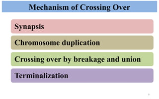 Terminalization Finger recombination of cromosome and its different model | PPTX