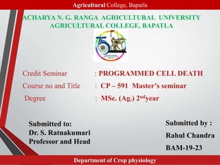 ACHARYA N. G. RANGA AGRICULTURAL UNIVERSITY
AGRICULTURAL COLLEGE, BAPATLA
Credit Seminar : PROGRAMMED CELL DEATH
Course no and Title : CP – 591 Master’s seminar
Degree : MSc. (Ag.) 2ndyear
Submitted by :
Rahul Chandra
BAM-19-23
1
Submitted to:
Dr. S. Ratnakumari
Professor and Head
Agricultural College, Bapatla
Department of Crop physiology
 