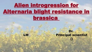 Alien Introgression for Enhancing Alternaria Blight Resistance in ...