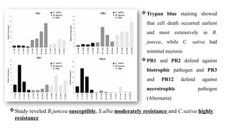 Alien Introgression for Enhancing Alternaria Blight Resistance in ...