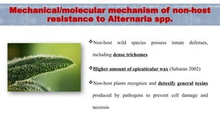 Alien Introgression for Enhancing Alternaria Blight Resistance in ...
