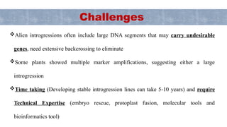Alien Introgression for Enhancing Alternaria Blight Resistance in ...