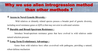 Alien Introgression for Enhancing Alternaria Blight Resistance in ...