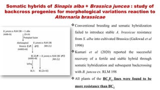 Alien Introgression for Enhancing Alternaria Blight Resistance in ...