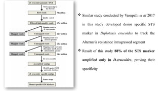 Alien Introgression for Enhancing Alternaria Blight Resistance in ...