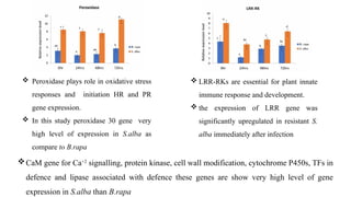 Alien Introgression for Enhancing Alternaria Blight Resistance in ...