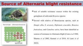 Alien Introgression for Enhancing Alternaria Blight Resistance in ...