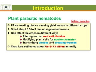Introduction
 PPNs -leading biotics causing yield losses in different crops
 Small about 0.5 to 3 mm unsegmented worms
 Can affect the crops in different ways
Altering normal root cell division
Modifying plant cells for nutrient transfer
Transmittng viruses and creating wounds
 Crop loss estimated about Us $173 billion annually
Plant parasitic nematodes
hidden enemies
 