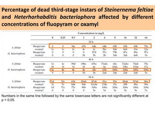Percentage of dead third-stage instars of Steinernema feltiae
and Heterhorhabditis bacteriophora affected by different
concentrations of fluopyram or oxamyl
Numbers in the same line followed by the same lowercase letters are not significantly different at
p < 0.05.
 