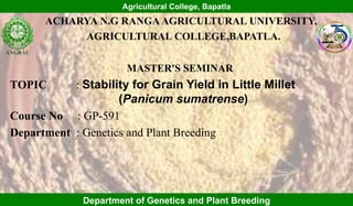 Department of Genetics and Plant Breeding
ACHARYA N.G RANGAAGRICULTURAL UNIVERSITY,
AGRICULTURAL COLLEGE,BAPATLA.
MASTER'S SEMINAR
TOPIC : Stability for Grain Yield in Little Millet
(Panicum sumatrense)
Course No : GP-591
Department : Genetics and Plant Breeding
Agricultural College, Bapatla
 