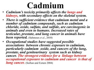 Cadmium
• Cadmium’s toxicity primarily affects the lungs and
kidneys, with secondary effects on the skeletal system.
• There is sufficient evidence that cadmium metal and a
number of cadmium compounds, such as cadmium
chloride, oxide, sulfate, and sulfide, are carcinogenic in
animals and even to humans. Increased rates of
testicular, prostate, and lung cancer in animals have
been reported. (Sahmoun et al., 2010)
• Occupational studies have suggested possible
associations between chronic exposure to cadmium,
particularly cadmium oxide, and cancers of the lung,
prostate, and genitourinary system such as kidney
cancer. The strongest evidence for a linkage between
occupational exposure to cadmium and cancer is that of
lung cancer. (Sorhan and Esmen 2004)
 