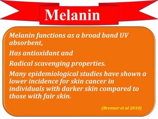 Melanin
Melanin functions as a broad band UV
absorbent,
Has antioxidant and
Radical scavenging properties.
Many epidemiological studies have shown a
lower incidence for skin cancer in
individuals with darker skin compared to
those with fair skin.
(Brenner et al 2010)
 