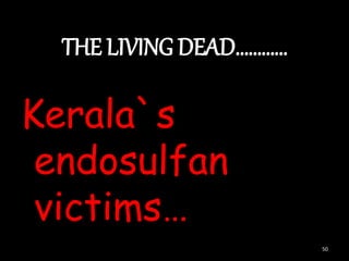 THE LIVING DEAD…………
Kerala`s
endosulfan
victims…
50
 