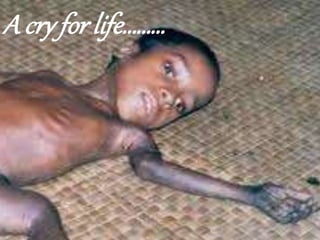A cry for life………
52
 