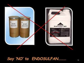 56Say ‘NO’ to ENDOSULFAN………
 