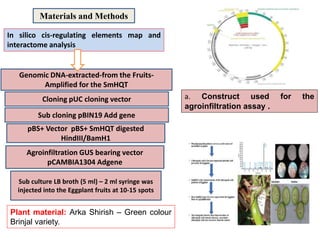 BREEDING FOR IMPROVED NUTRITION QUALITY AND NUTRACEUTICALS PROPERTIES ...