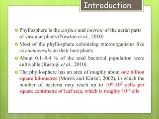 Introduction
 Phyllosphere is the surface and interior of the aerial parts
of vascular plants (Newton et al., 2010)
 Most of the phyllosphere colonizing microorganisms live
as commensals on their host plants
 About 0.1–8.4 % of the total bacterial population were
cultivable (Rastogi et al., 2010)
 The phyllosphere has an area of roughly about one billion
square kilometres (Morris and Kinkel, 2002), in which the
number of bacteria may reach up to 106–107 cells per
square centimetre of leaf area, which is roughly 1026 ells
 