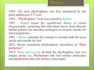 History
1955- The term phyllosphere was first introduced by the
plant pathologist F.T. Last
1956 - “Phyllosphere” term was coined by Ruinen
1987 - Kinkel tested the equilibrium theory of island
biogeography, assuming that individual leaves form discrete
habitat patches for microbes analogous to oceanic islands for
macroorganisms.
2002 – Morris extended the concept to include both the areas
inside and outside the leaf
2012- Berlec considered phyllospheric microflora as “Plant
probiotics”
2015- Doan and Leveau divided the phyllosphere into two
unique niches i.e., Phylloplane (the leaf surface landscape)
and phyllotelma (the leaf surface waterscape)
 