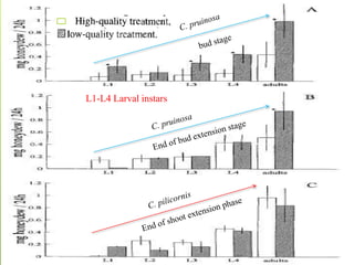 L1-L4 Larval instars
 