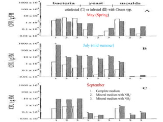May (Spring)
July (mid summer)
September
1. Complete medium
2. Mineral medium with NH4
+
3. Mineral medium with NO3
-
 