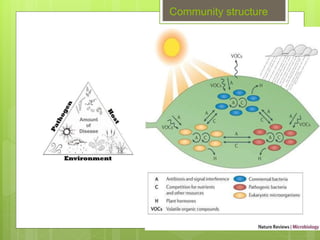 Community structure
 