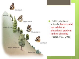  Unlike plants and
animals, bacteria did
not exhibit an
elevational gradient
in their diversity
(Fierer et al., 2011)
 