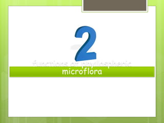 functions of phyllospheric
microflora
 